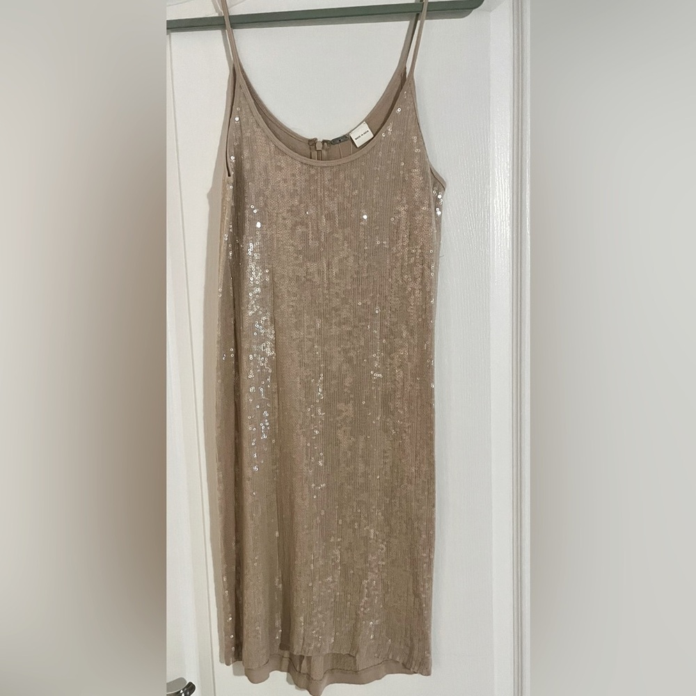 NWT Chan Luu Sequined Slip Dress